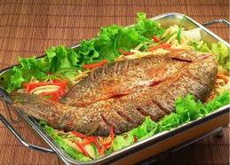 舌尖爆料烤鱼视频大全图片,烤鱼视频大全，美味瞬间尽收眼底