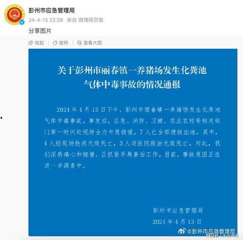 彭州网友爆料新闻事件,惊现神秘事件，真相令人震惊！