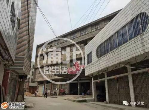 浦北福旺最新爆料,揭秘神秘项目背后的惊人真相